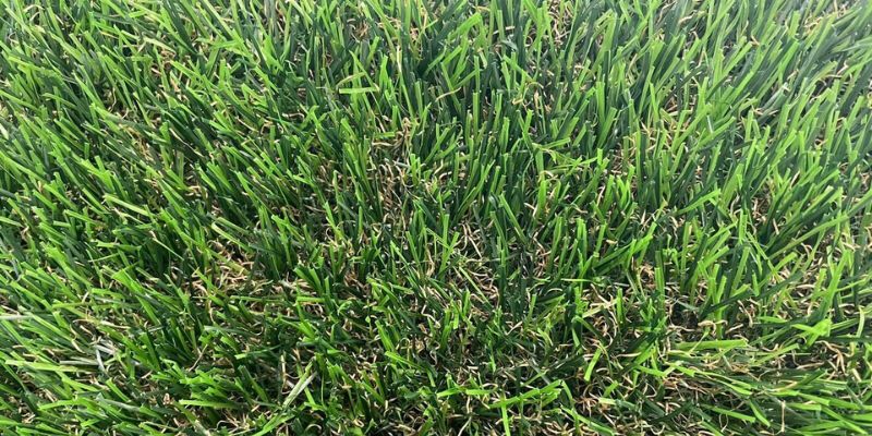 O que é Grama Sintética: Guia Atualizado